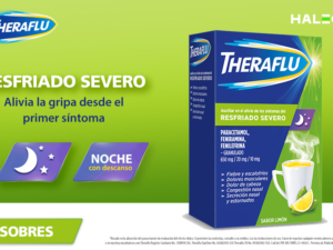 Theraflu Noche 6 Sobres