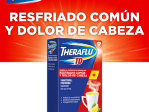 Theraflu TD 6 Sobres