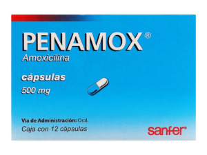 PENAMOX 500MG A 12CAP
