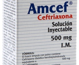 Ceftriaxona 500mg Iny