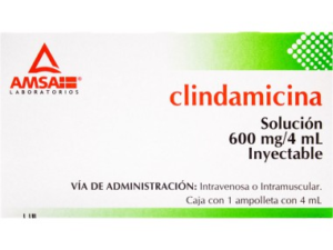 GE CLINDA INY ANTIB 600MG