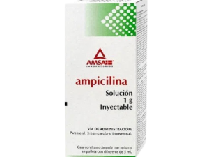 AMPICILINA SOL INY 1GR