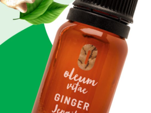 OLEUM VITAE JENGIBRE 120 ML